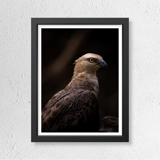 The Watchful Guardian
